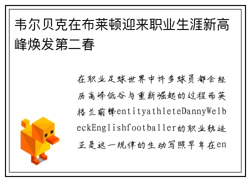 韦尔贝克在布莱顿迎来职业生涯新高峰焕发第二春